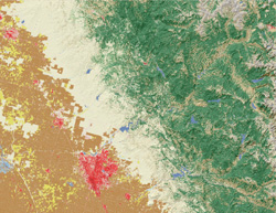 Image of the NLCD 2011 Land Cover Change download