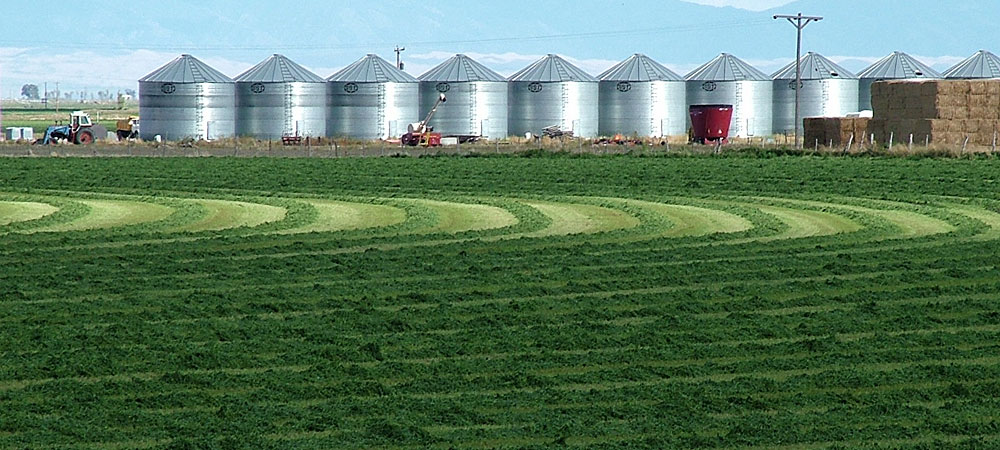 On the ground photograph – hay/pasture agriculture example in Colorado