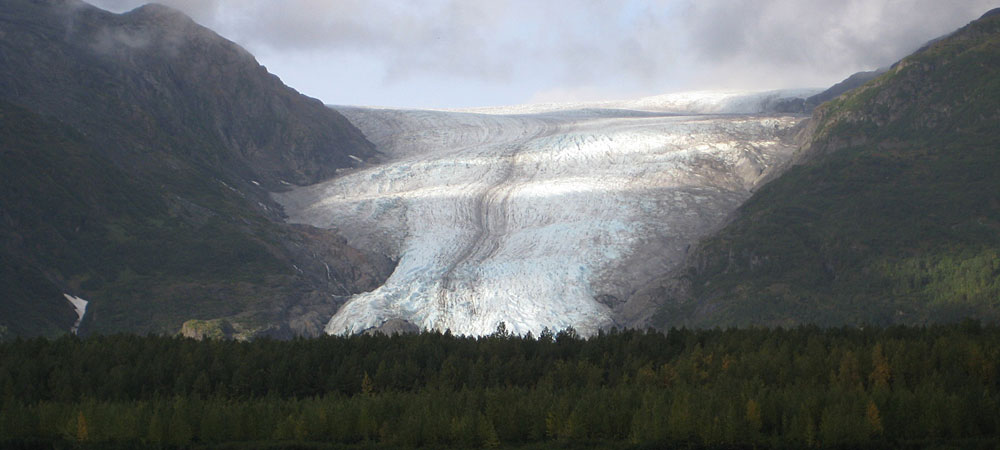 Snow/ice (glacier example) and coniferous forest land cover examples in Alaska