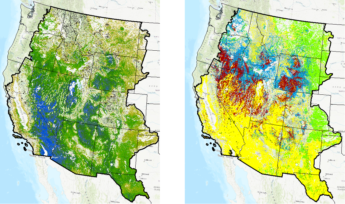 Example Thumbnails of Ecological Products