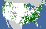 Example NLCD ALL Tree Canopy Cover (CONUS)