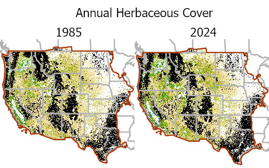RCMAP Headline Graphic