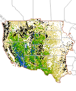 Ecological Potential Bare Ground Cover Thumbnail