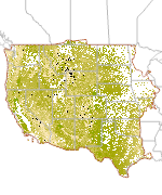 Ecological Potential Litter Cover Thumbnail