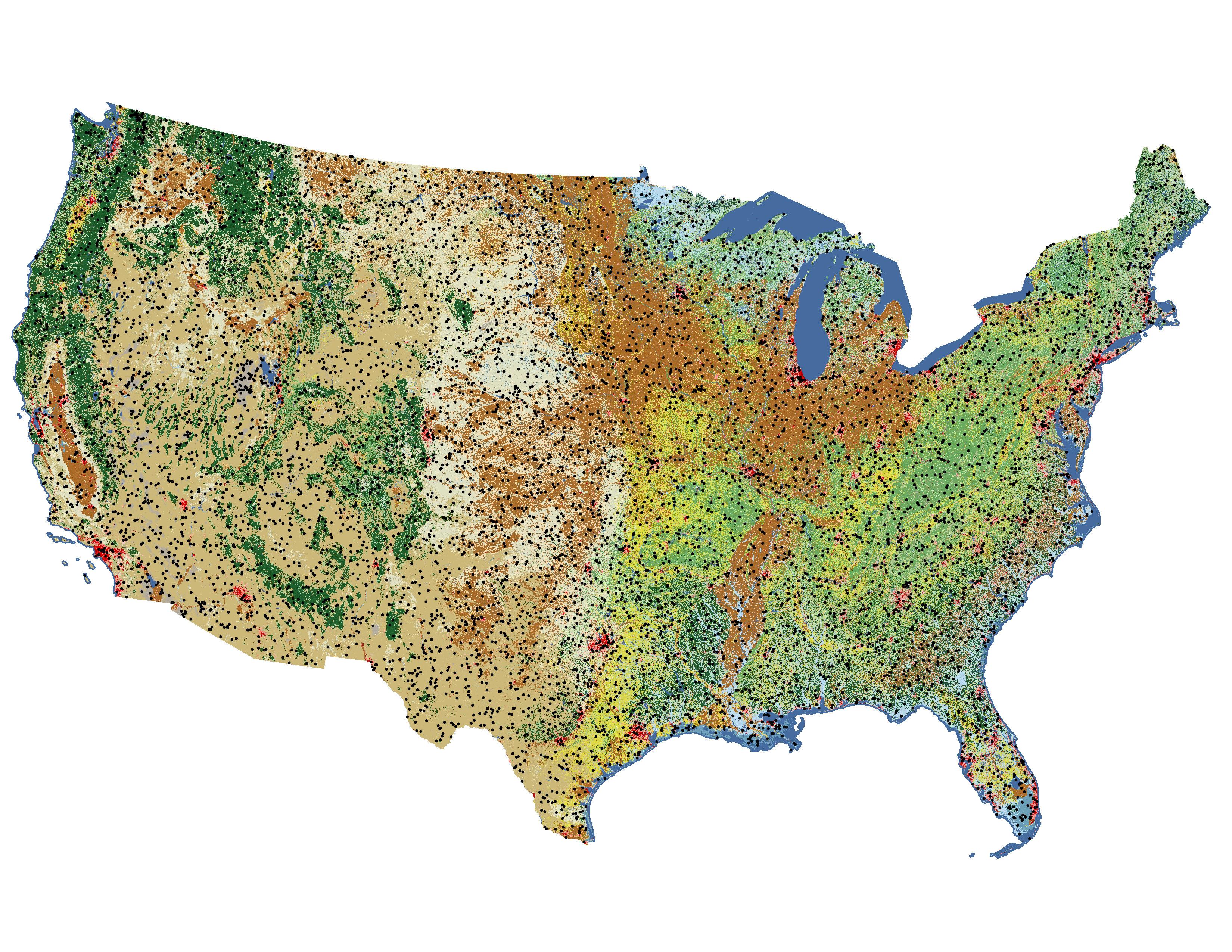 Annual NLCD Reference Image