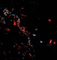 Spectral Change Day of Year (CONUS) thumbnail