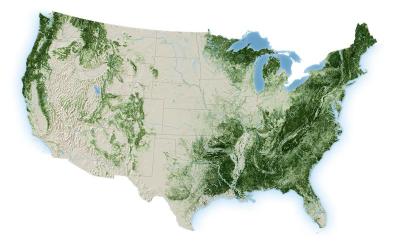 Topographic map of CONUS forestland