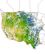 Ecological Potential Perennial Herbaceous Cover Thumbnail