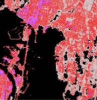 Fractional Impervious Surface CONUS 1985 to 1994 thumbnail