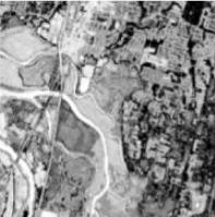 Land Cover Confidence (CONUS) thumbnail