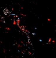 Spectral Change Day of Year (CONUS) thumbnail