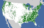NLCD Tree Canopy Cover (CONUS) thumbnail