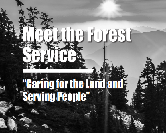 Meet the Forest Service Fact-sheet Thumbnail